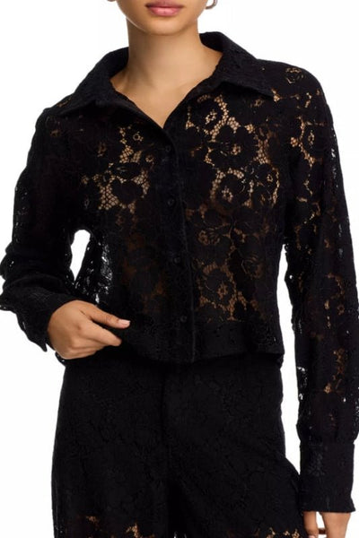 Jaiya Lace Top by Steve Madden - Bel Air Boutique